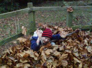 Benedict in a pile of leaves